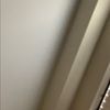 lilygonzalez134